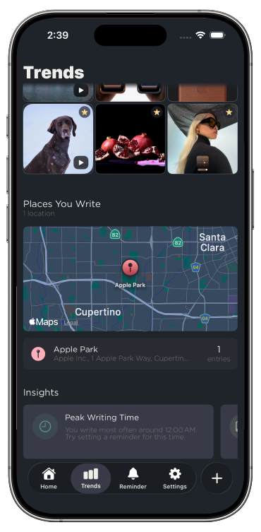 Reflekt insights screenshot
